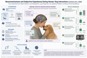Die Studie liefert evidenzbasierte Hinweise darauf, dass Mensch-Hund-Interaktionen tiefgreifende positive Effekte auf psychologischer und neurobiologischer Ebene haben. Sie fördern Stressreduktion, emotionale Regulation, soziale Motivation und aktivieren Belohnungssysteme. Die Bindung zwischen Mensch und Hund ist ein komplexes biopsychosoziales Phänomen mit weitreichenden Auswirkungen auf das Wohlbefinden des Menschen.